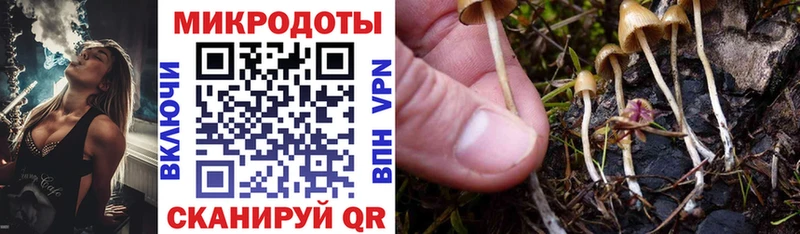 Галлюциногенные грибы Magic Shrooms  цена   Питкяранта 